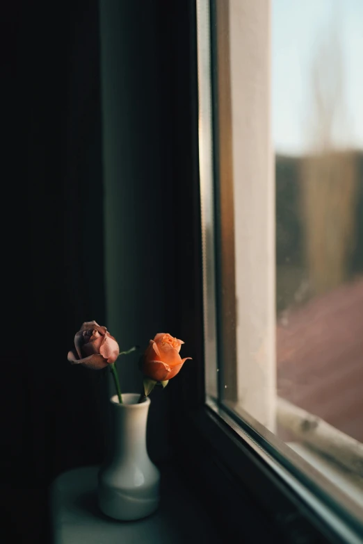 a vase with two flowers sitting on a window sill, unsplash, photo of a rose, dark grey and orange colours, looking off into the distance, early spring