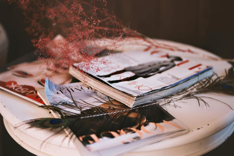 a pile of magazines sitting on top of a table, a picture, by Julia Pishtar, trending on pexels, dried flowers, accents of red, vouge style photo, medium close-up shot