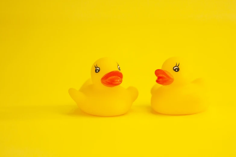 two yellow rubber ducks sitting next to each other, by Jacob Duck, pexels, minimalism, gif, plastic toy, 🦩🪐🐞👩🏻🦳, avatar image