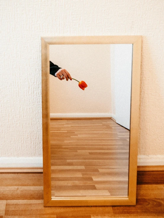 a person holding an apple in front of a mirror, a minimalist painting, pexels contest winner, magic realism, about to enter doorframe, magic broom, low quality photo, red and orange colored