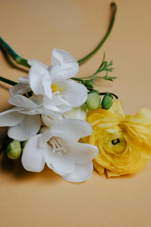 a bunch of flowers sitting on top of a table, soft yellow background, white orchids, detail shot, full product shot