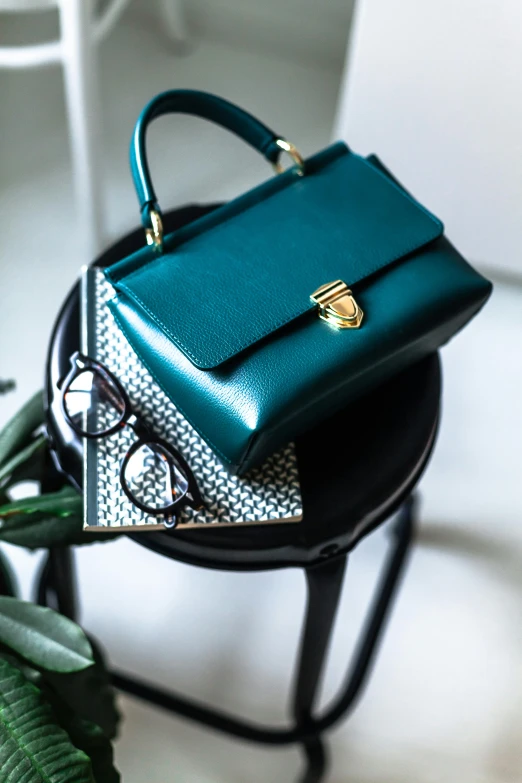 a purse sitting on top of a chair next to a potted plant, a still life, by Julia Pishtar, trending on pexels, emeralds, briefcase, monochromatic teal, designer sunglasses