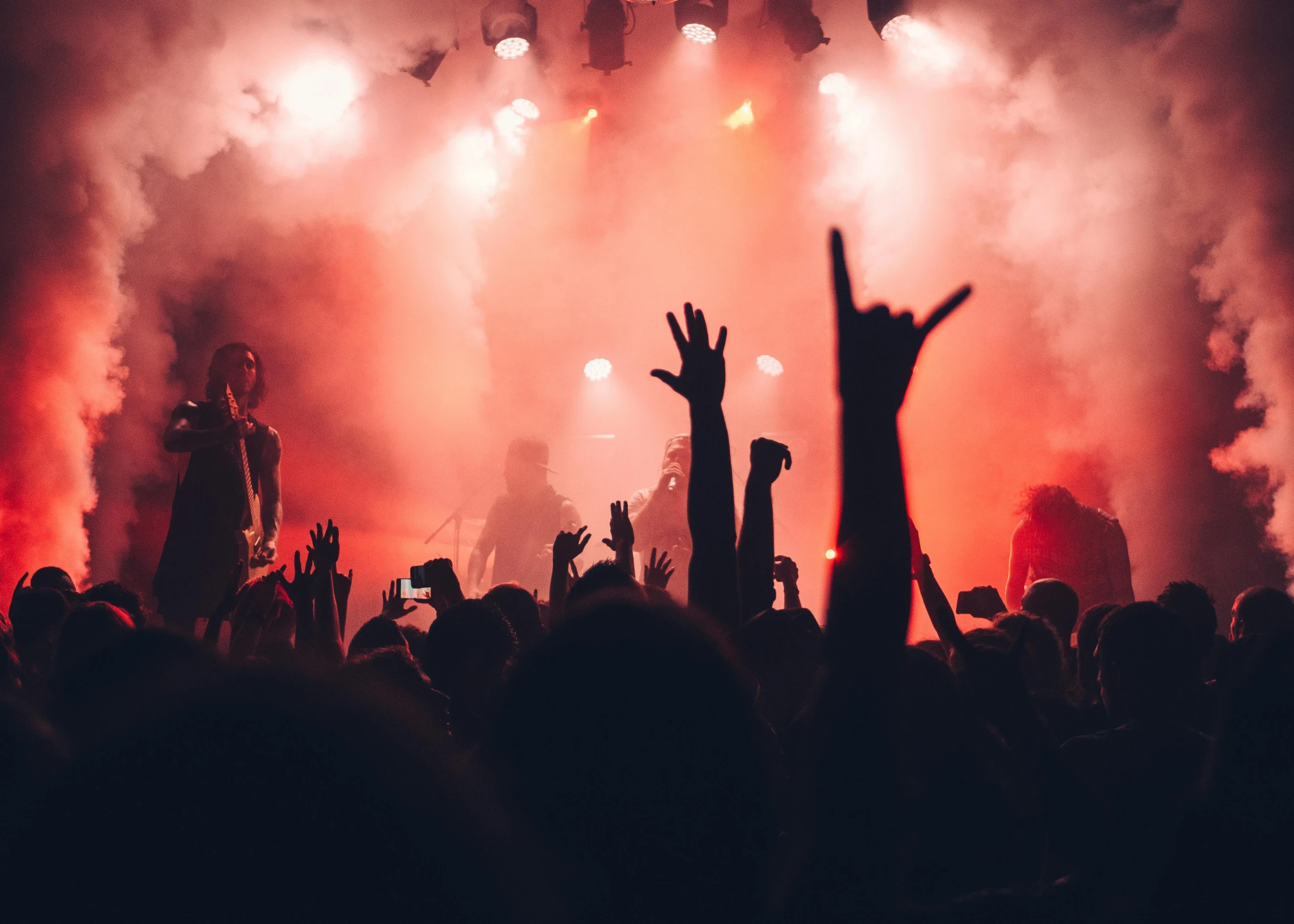 a crowd of people at a concert with their hands in the air, pexels contest winner, figuration libre, with red haze, punk party, thumbnail, flowers around