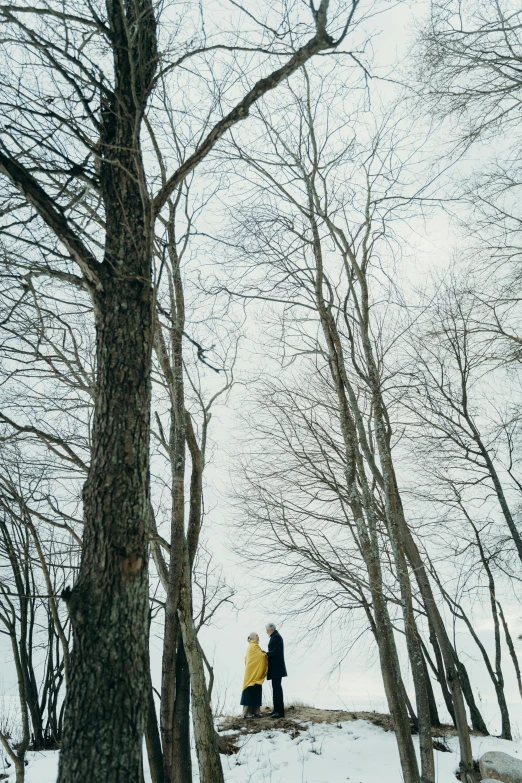 a couple of people standing on top of a snow covered slope, unsplash contest winner, romanticism, tall large trees, alec soth : : love, photo taken on fujifilm superia, ((trees))