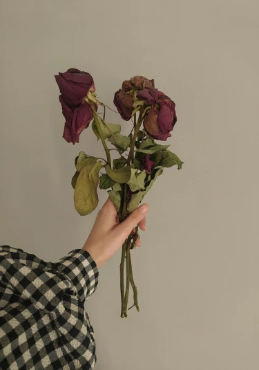 a person holding a bunch of flowers in their hand, a colorized photo, inspired by Elsa Bleda, unsplash, romanticism, black and purple rose petals, dried vines, faded pink, she's sad