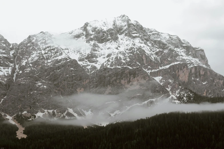 a large mountain covered in snow next to a forest, pexels contest winner, overcast gray skies, moist foggy, large format picture, brown