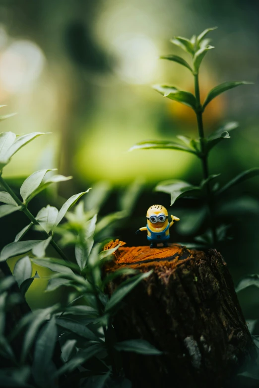 a small toy sitting on top of a tree stump, a tilt shift photo, unsplash, minion, in a jungle, with soft bushes, animated