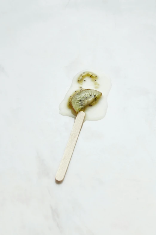 a close up of a popsicle on a stick, renaissance, passion flower, weathered olive skin, koji morimoto, dwell