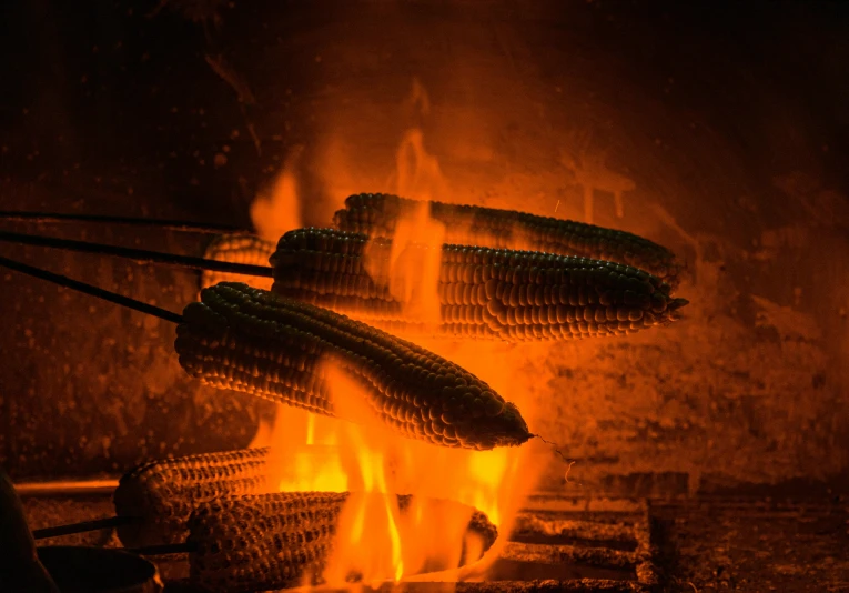 a bunch of corn being cooked on a grill, a portrait, by Adam Marczyński, pexels contest winner, renaissance, dimly lit cozy tavern, avatar image, instagram picture, irori fireplace