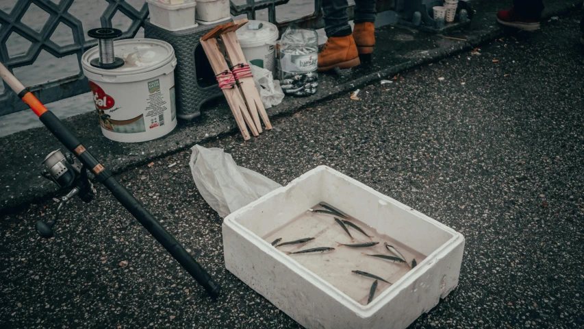 a box that has some fish in it, pexels contest winner, arbeitsrat für kunst, on a sidewalk of vancouver, makeshift weapons, promo image, lo-fi