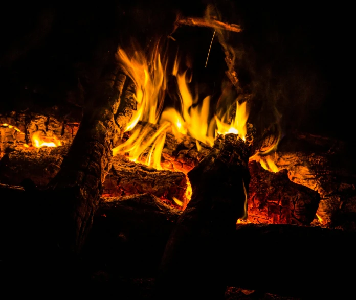 a dog that is sitting in front of a fire, by Daniel Lieske, pexels contest winner, visual art, highly detailed fire tendrils, up close shot, a wooden, it's night time