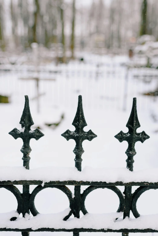 a wrought iron fence covered in snow, an album cover, trending on unsplash, gothic art, ornamental arrows, grave, a green, detail shots