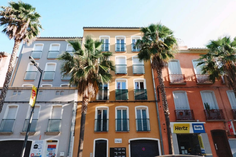 a car parked in front of a tall building, arrendajo in avila pinewood, with potted palm trees, profile image, multicoloured