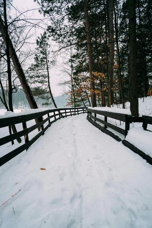 a wooden bridge in the middle of a snowy forest, a picture, unsplash, fence line, 35 mm photo, color image, covered!