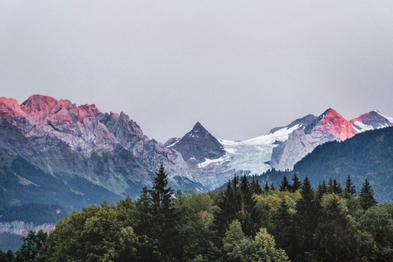 a herd of cattle grazing on top of a lush green field, a matte painting, by Tobias Stimmer, pexels contest winner, with a snowy mountain and ice, tall purple and pink trees, dusk setting, lauterbrunnen valley