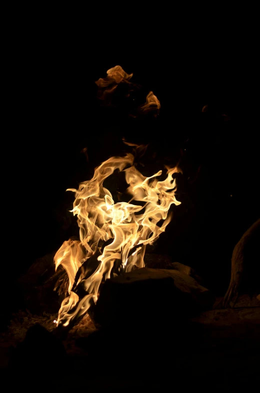 a close up of a fire in the dark, dancing around a fire, taken with sony alpha 9, fiery bird, tall