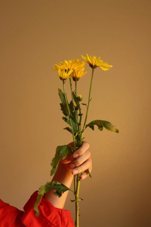 a person holding a bunch of yellow flowers, an album cover, inspired by Elsa Bleda, unsplash, photorealism, ((still life)), backlighted, ignant, stems