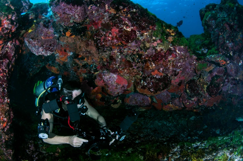 a man scubas through a cave in the ocean, happening, overgrown with colorful coral, slide show, avatar image, crimson peek