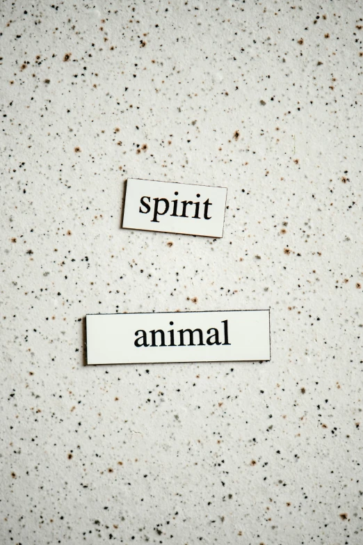 two pieces of paper that say spirit and animal, sparse detail, on a canva, on grey background, label