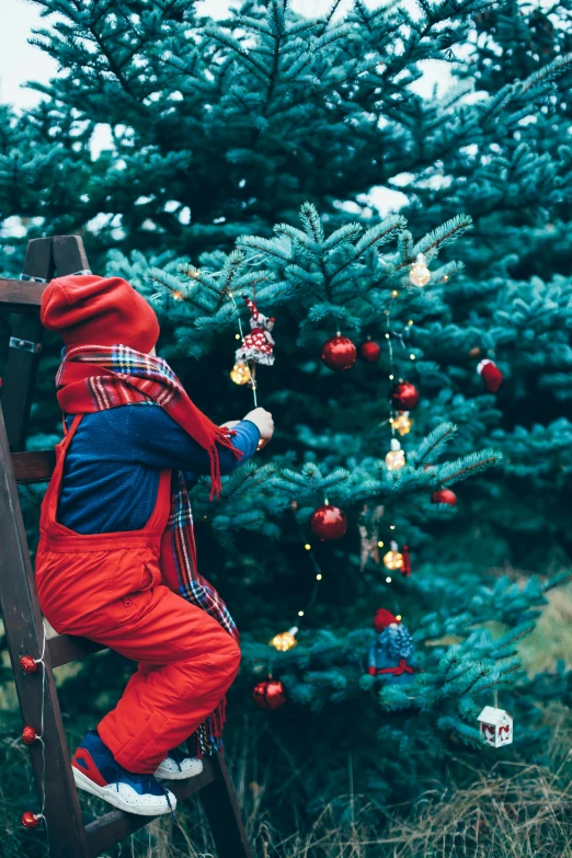 a little boy standing on a ladder in front of a christmas tree, pexels, fine art, red and blue garments, hanging lanterns, gif, person made of tree