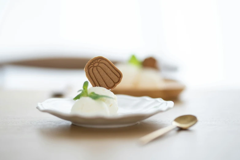 a close up of a plate of food on a table, a still life, inspired by Maruyama Ōkyo, unsplash, ice cream on the side, white background, carved soap, tochigi prefecture