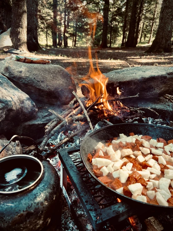 a pan of food cooking over an open fire, by Jessie Algie, 🌲🌌, arrendajo in avila pinewood, thumbnail, 8k octan photo