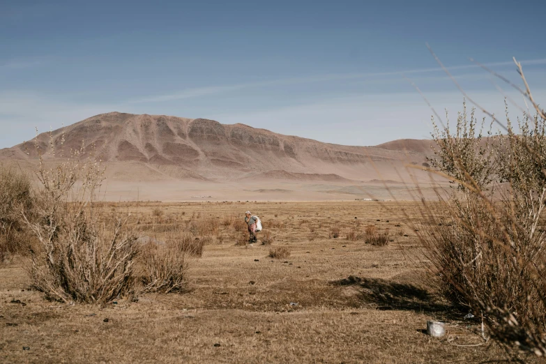 a man walking across a dry grass covered field, a picture, unsplash contest winner, giant crater in distance, tengri, background image, schools