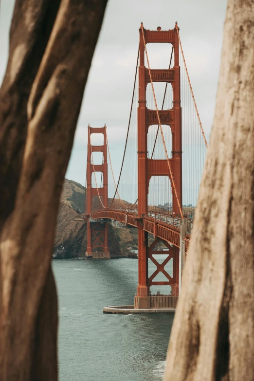 a view of the golden gate bridge through some trees, pexels contest winner, wooden supports, closeup 4k, 🚿🗝📝, medium format