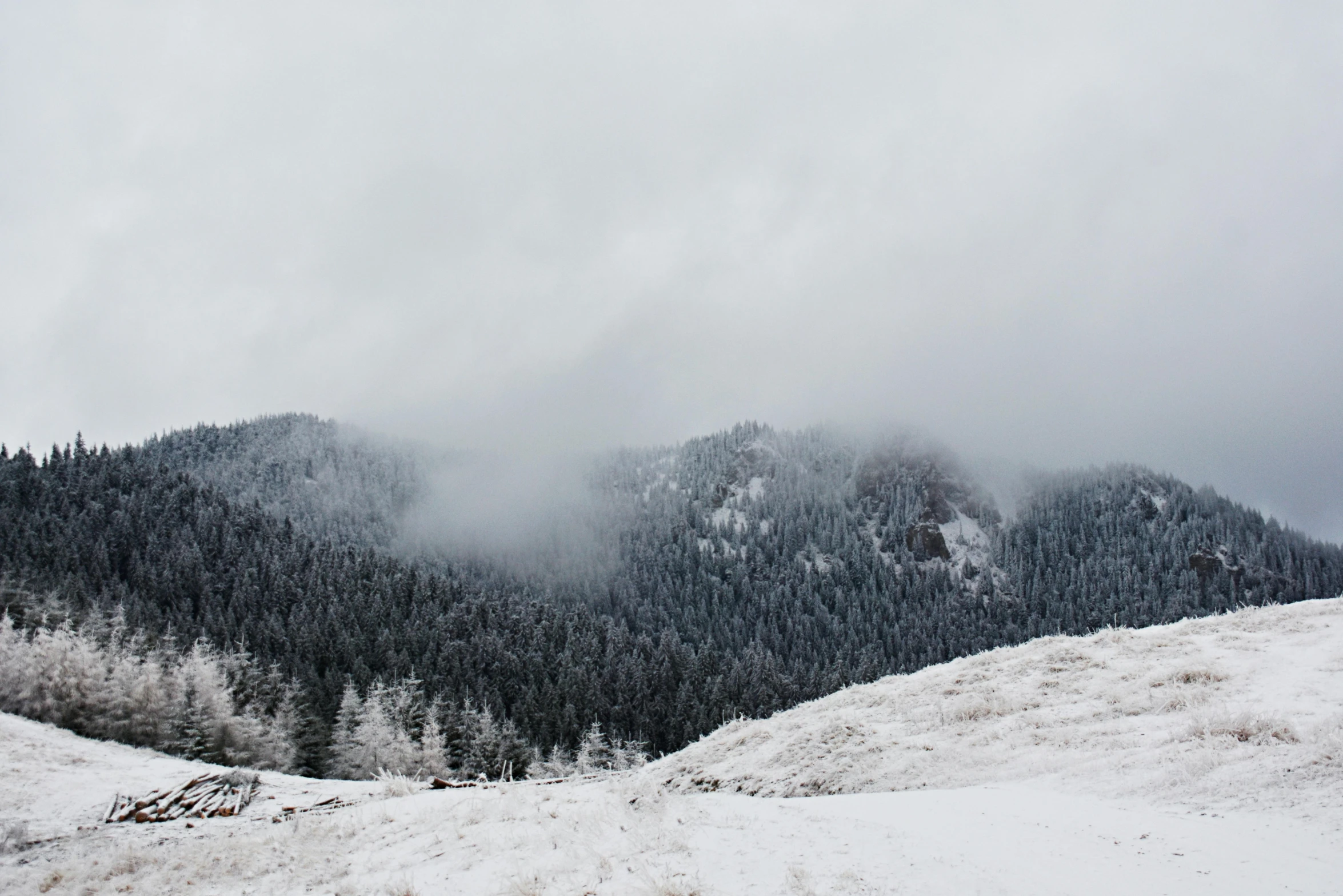 a man riding a snowboard down a snow covered slope, by Emma Andijewska, pexels contest winner, romanticism, cloudy overcast sky, ominous! landscape of north bend, background image, forest outside