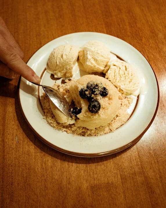 a white plate topped with two scoops of ice cream, by Robbie Trevino, family dinner, a blond, outback, blueberry