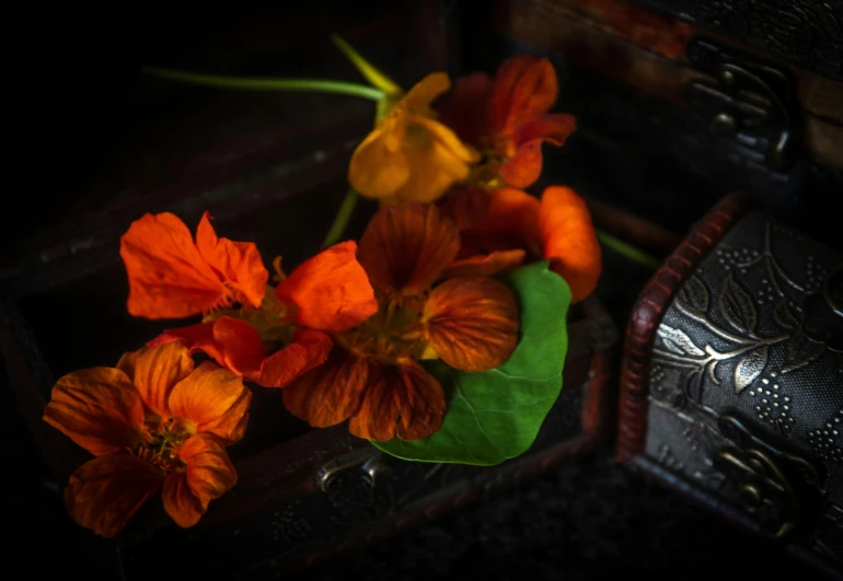 a bunch of flowers sitting on top of a wooden box, a still life, pexels contest winner, art photography, orange flowers, close up shot of an amulet, deep colour, red adornments