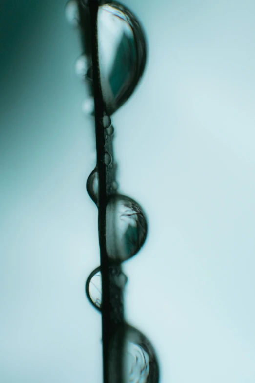 a close up of a plant with drops of water on it, by Ryan Pancoast, lyrical abstraction, ((chains)), glasses |, 38mm photograhpy, multiple stories