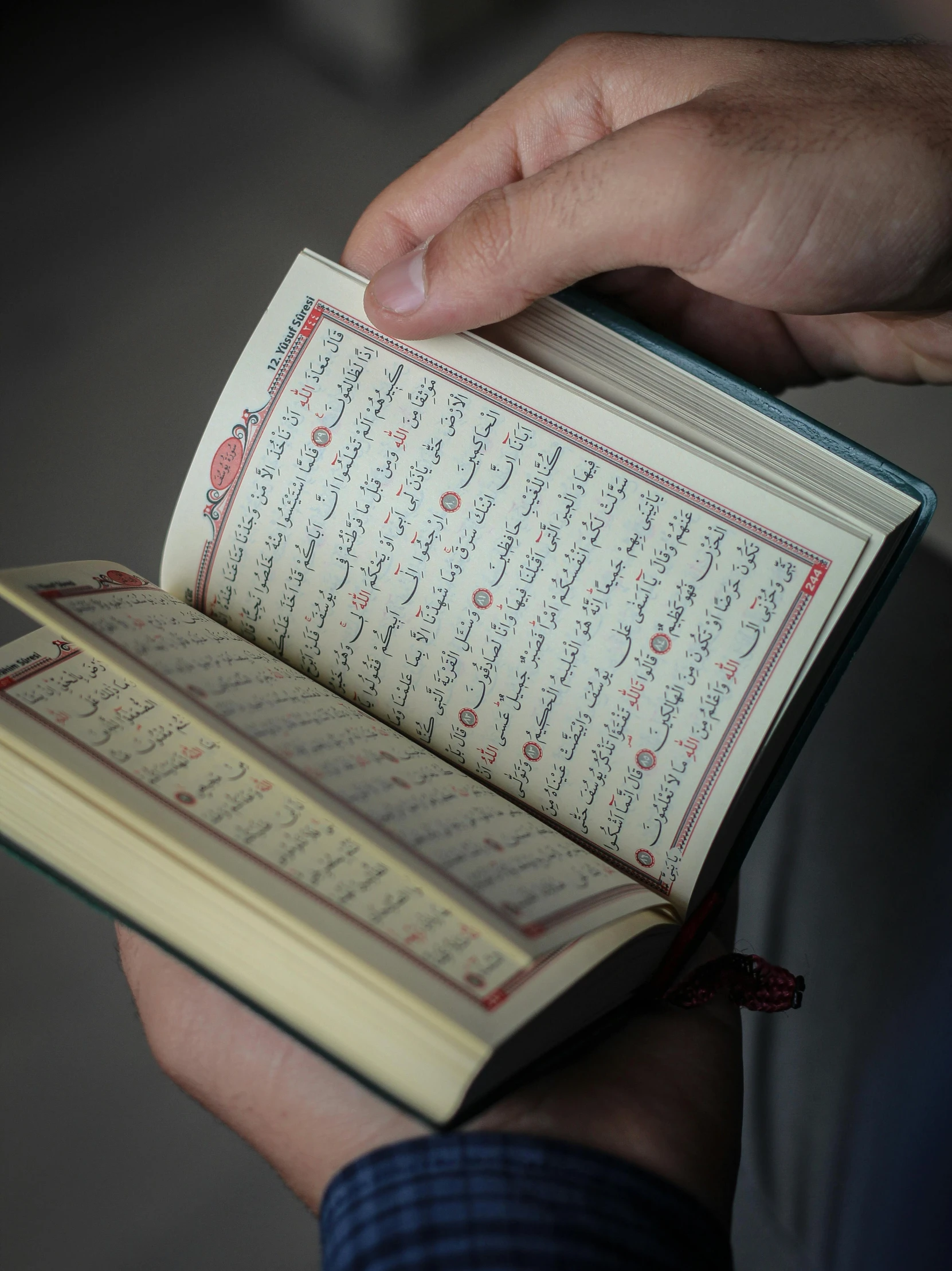 a close up of a person holding a book, hurufiyya, high-resolution photo, small