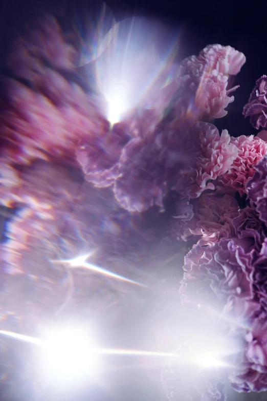 a vase filled with pink flowers on top of a table, a microscopic photo, inspired by Kim Keever, light and space, purple lightning, photographed for reuters, spaceship exploding, still from film