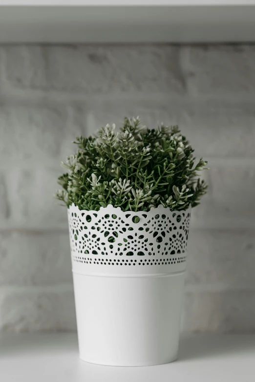 a potted plant sitting on top of a white shelf, arabesque, metal lace, detailed product shot, soft white rubber, muted green