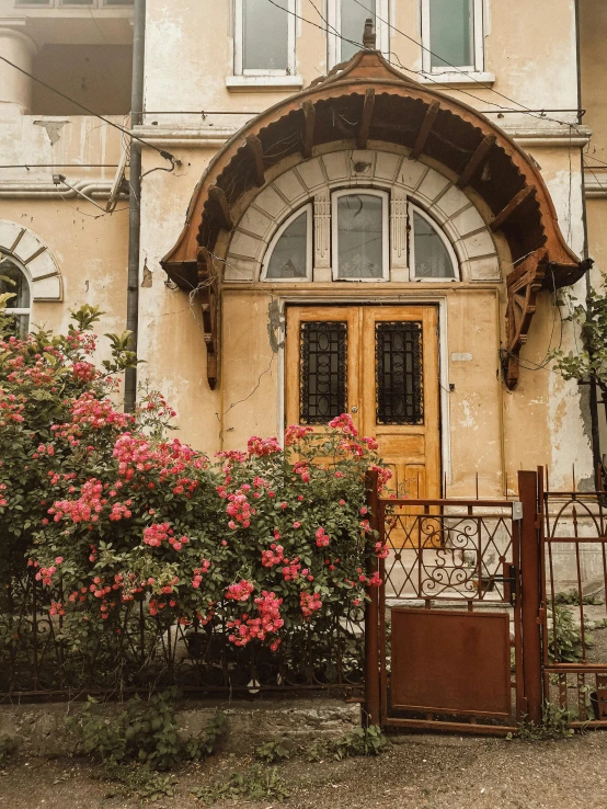 a red fire hydrant sitting in front of a building, a colorized photo, by Emma Andijewska, pexels contest winner, art nouveau, portal made of roses, southern slav features, arched doorway, brown