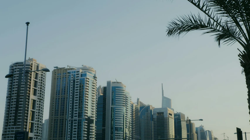 a city with tall buildings and palm trees, a screenshot, pexels contest winner, hurufiyya, ameera al taweel, skyline showing, slightly sunny, [ cinematic