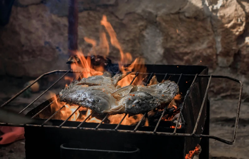 a close up of a grill with fish on it, by Daniel Lieske, pexels contest winner, renaissance, cyprus, roaring fire, thumbnail, no cropping