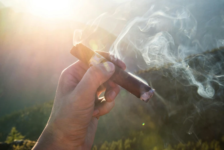 a hand holding a cigar with smoke coming out of it, by Daniel Lieske, pexels contest winner, sunny morning light, lush vista, sunfaded, high quality product image”