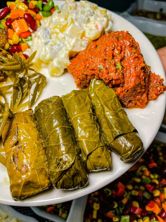 a person holding a plate full of food, turkish and russian, multicolored weed leaves, thumbnail, alabama