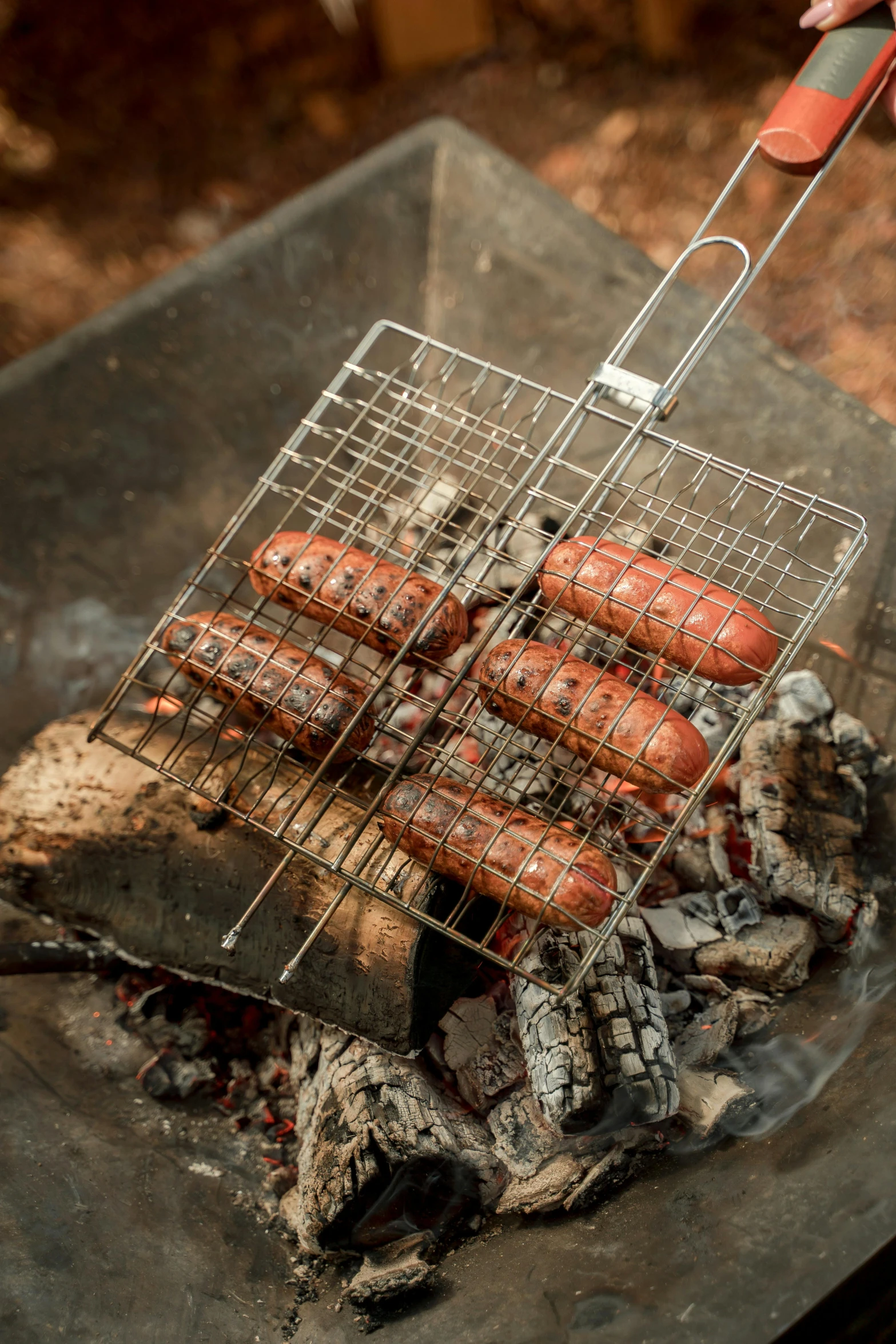 a person is cooking hot dogs on a grill, inspired by Jan Kupecký, renaissance, forest picnic, 6 pack, grid, press shot