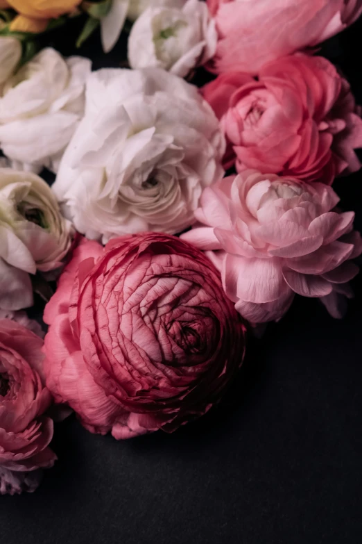 a close up of a bunch of flowers on a table, inspired by Henri Fantin-Latour, trending on unsplash, romanticism, on black background, peony, petal pink gradient scheme, crimson and white color scheme