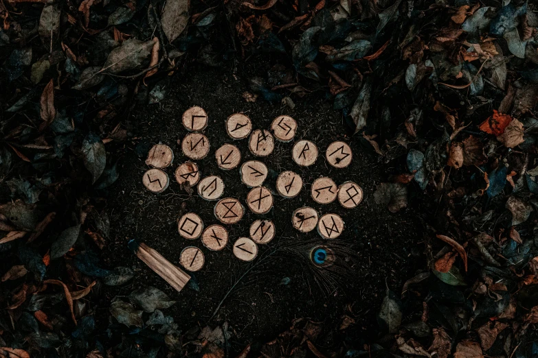 the runes are laid out on the ground, by Emma Andijewska, pexels contest winner, miniature product photo, 1 6 x 1 6, hunting, abcdefghijklmnopqrstuvwxyz