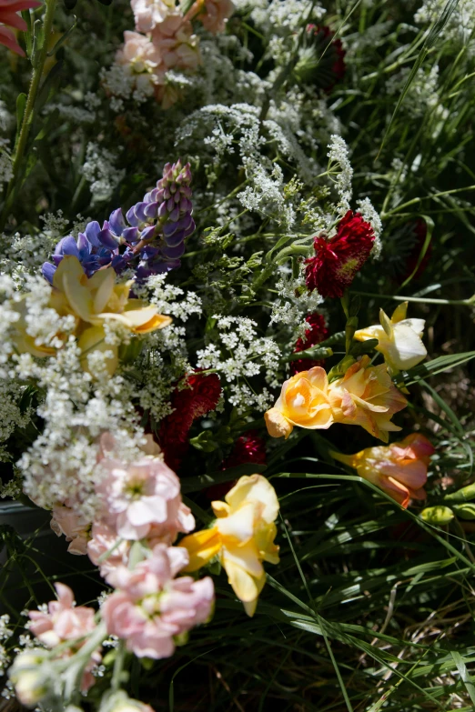 a bunch of flowers sitting on top of a lush green field, albuquerque, close up details, piled around, mixed