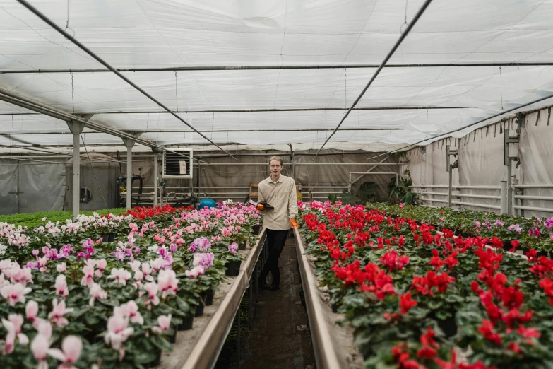 a man standing in a greenhouse full of flowers, a portrait, unsplash contest winner, in rows, wide full body, documentary photo, tourist photo