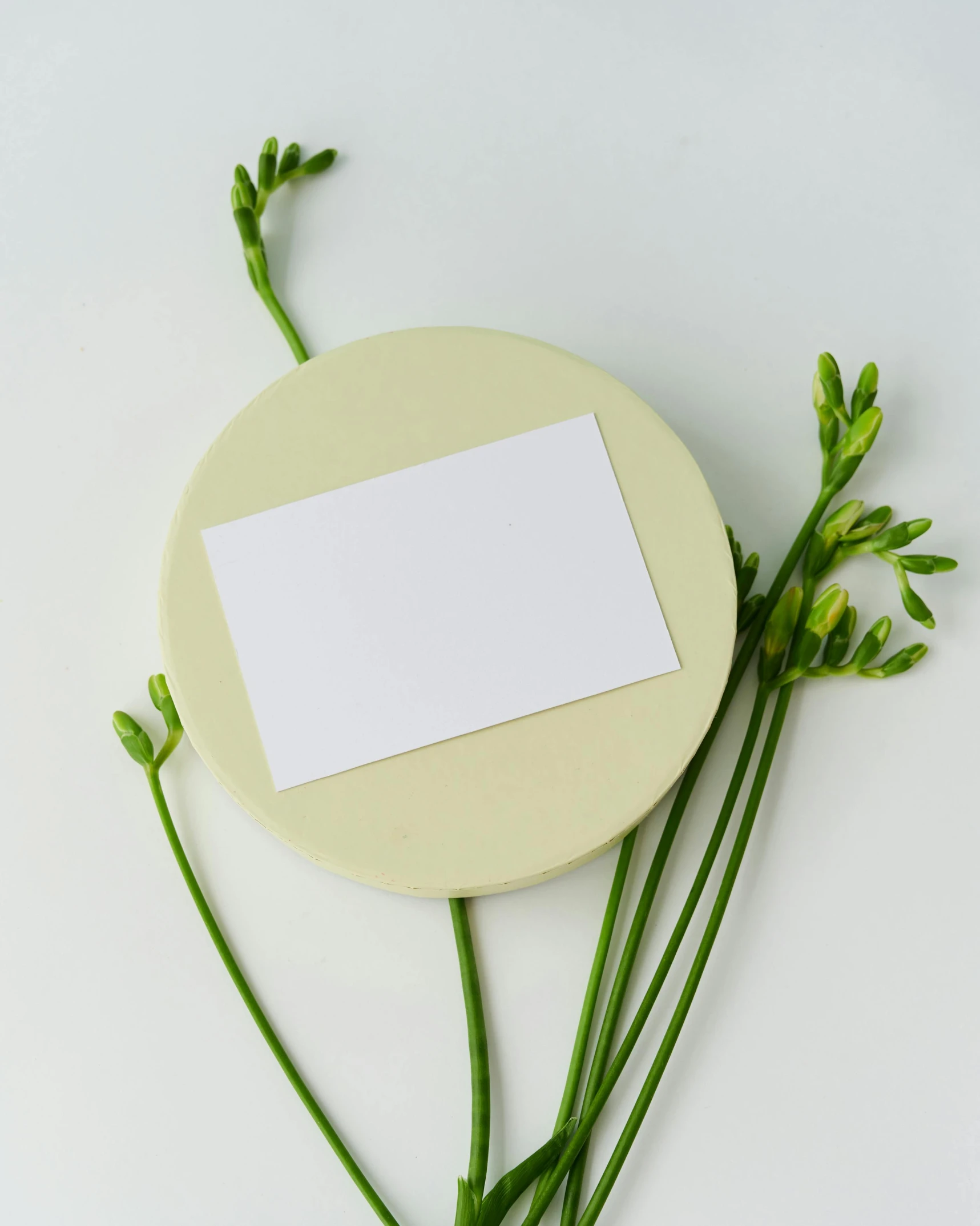 flowers and a blank card on a white surface, inspired by Eden Box, unsplash, round form, made of cheese, background image, green and white