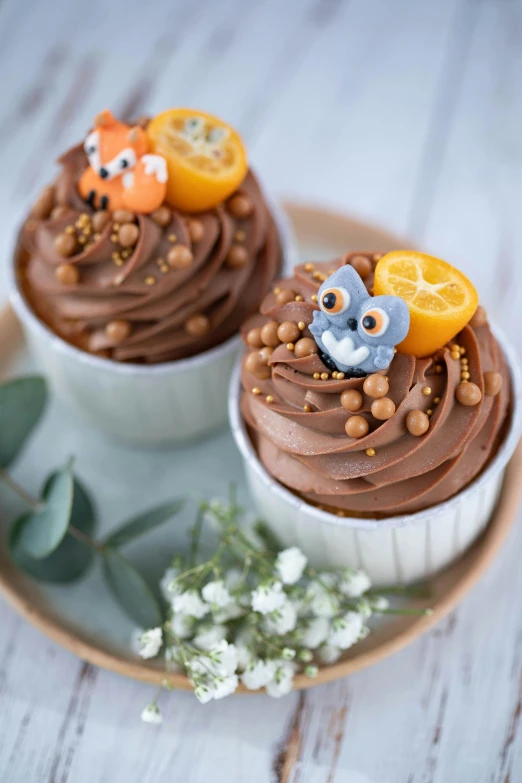 a couple of cupcakes sitting on top of a plate, inspired by Henriette Grindat, whimsical fox, grey orange, chocolate, seeds