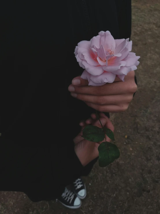 a person holding a pink flower in their hand, an album cover, inspired by Elsa Bleda, unsplash, aestheticism, 👰 🏇 ❌ 🍃, black rose, night mood, tumblr aesthetic