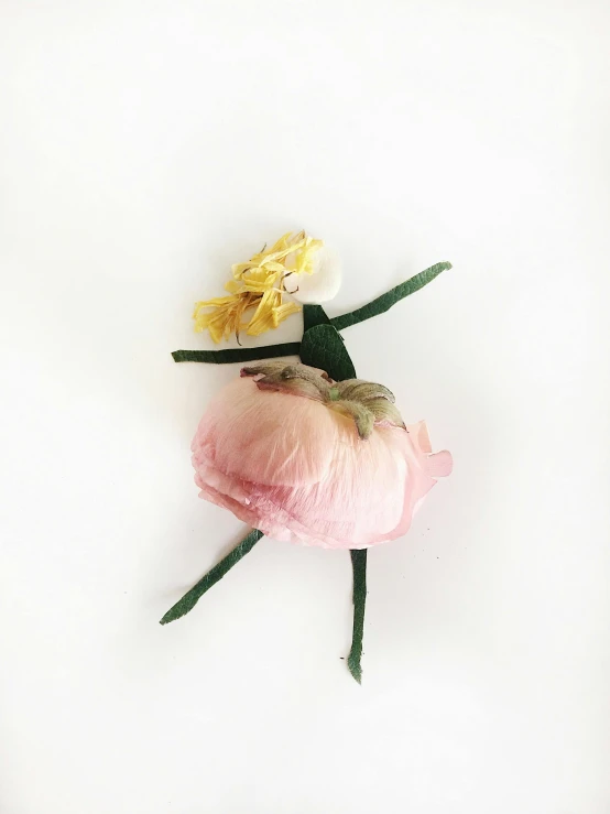 a pink flower sitting on top of a white surface, as though she is dancing, artdoll, style of joel meyerowitz, pressed flowers