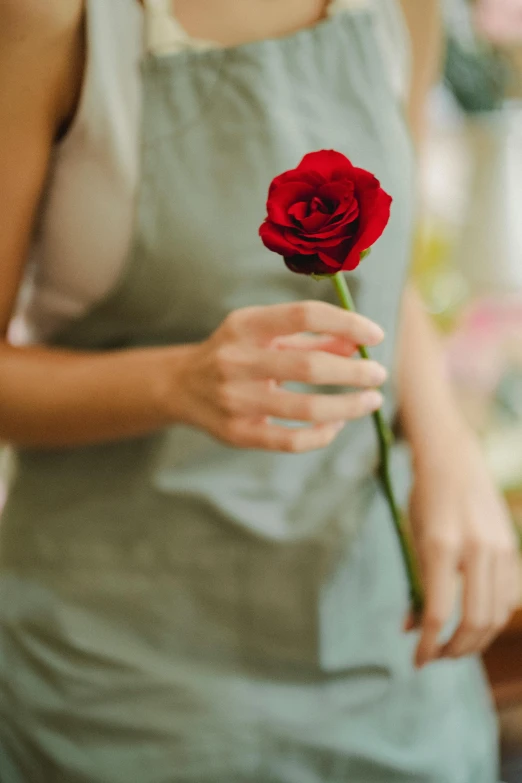 a woman holding a red rose in her hand, a still life, by Julian Allen, unsplash, made of glazed, handcrafted, large tall, embrace